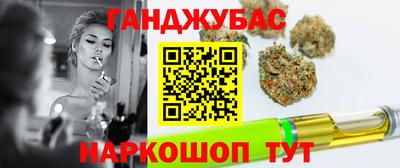 дмт Аргун