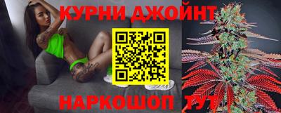 дмт Аргун