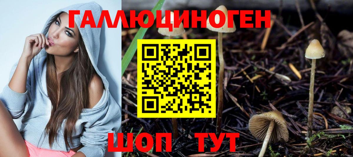 Галлюциногенные грибы MAGIC MUSHROOMS  Вход с VPN  Апшеронск 